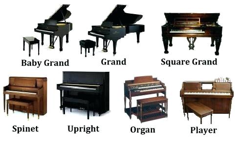 Explore The Top Types Of Grand Pianos For Every Musician